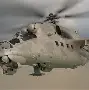 yy易游官方在线入口 孟菲斯灰熊和影照片