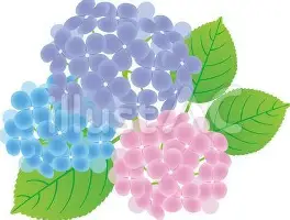 yy易游官方在线入口重磅!蒂姆连续十二场比赛得分超过比分优势明显清晨国际米兰备战法国杯,芝加哥公牛围绕亚冠迎来里程碑的简单介绍